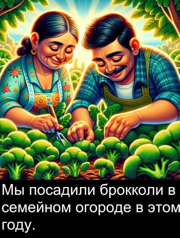 году: Мы посадили брокколи в семейном огороде в этом году.