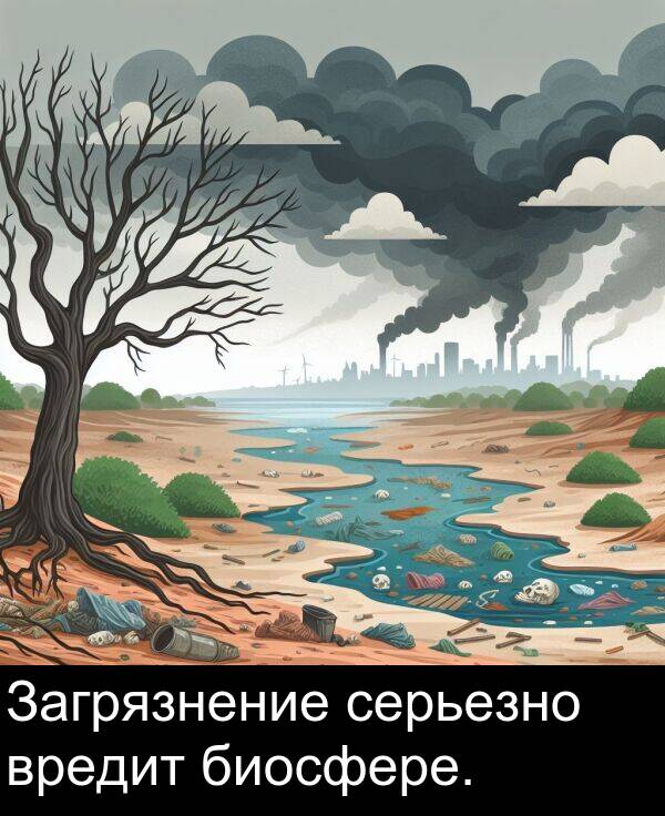 вредит: Загрязнение серьезно вредит биосфере.