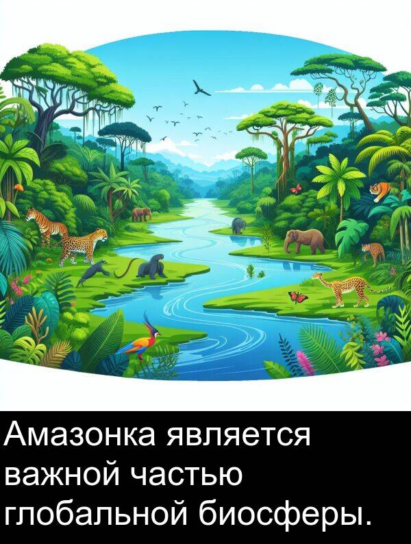 частью: Амазонка является важной частью глобальной биосферы.