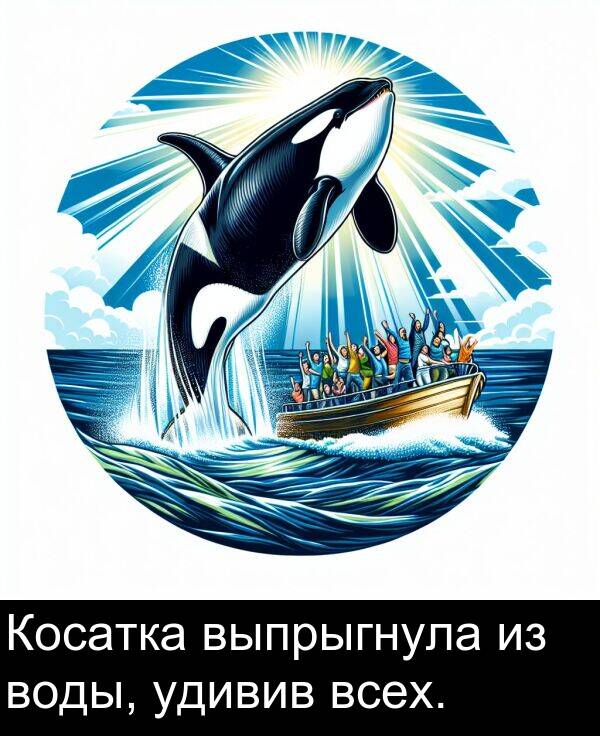 всех: Косатка выпрыгнула из воды, удивив всех.