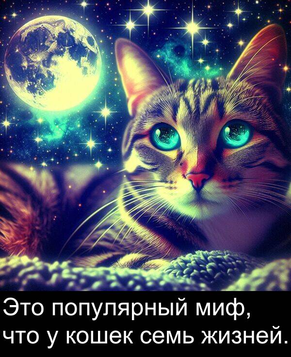 кошек: Это популярный миф, что у кошек семь жизней.