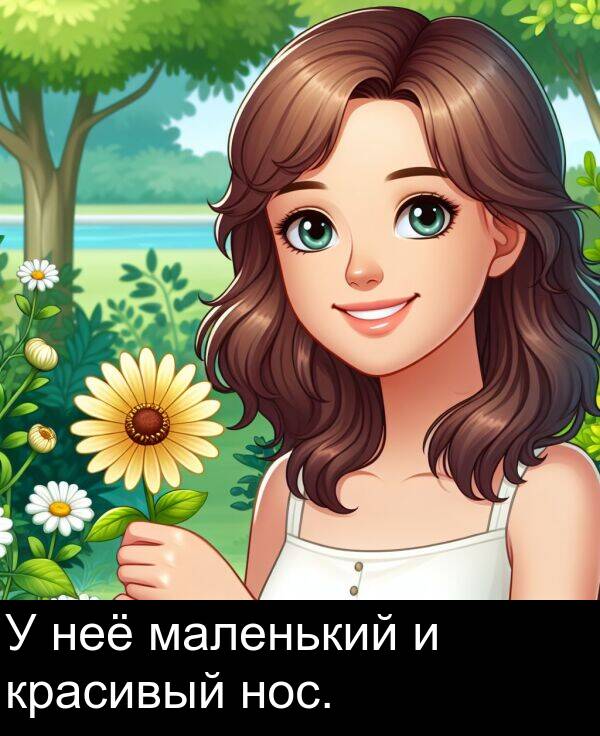 красивый: У неё маленький и красивый нос.