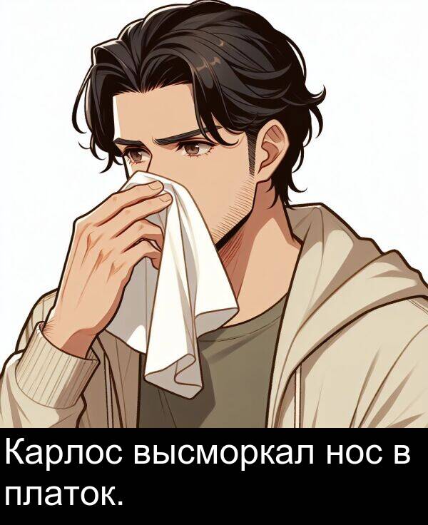 высморкал: Карлос высморкал нос в платок.