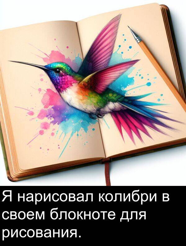 колибри: Я нарисовал колибри в своем блокноте для рисования.