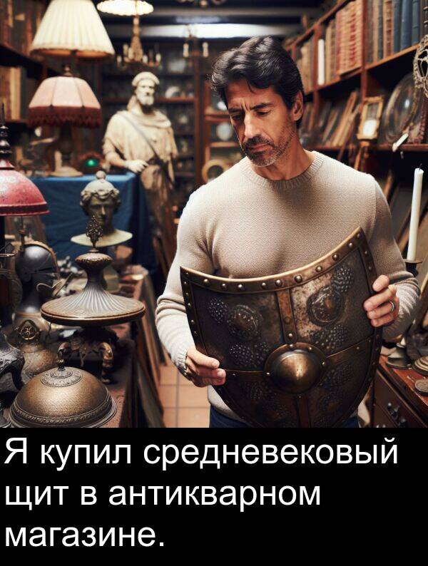 магазине: Я купил средневековый щит в антикварном магазине.