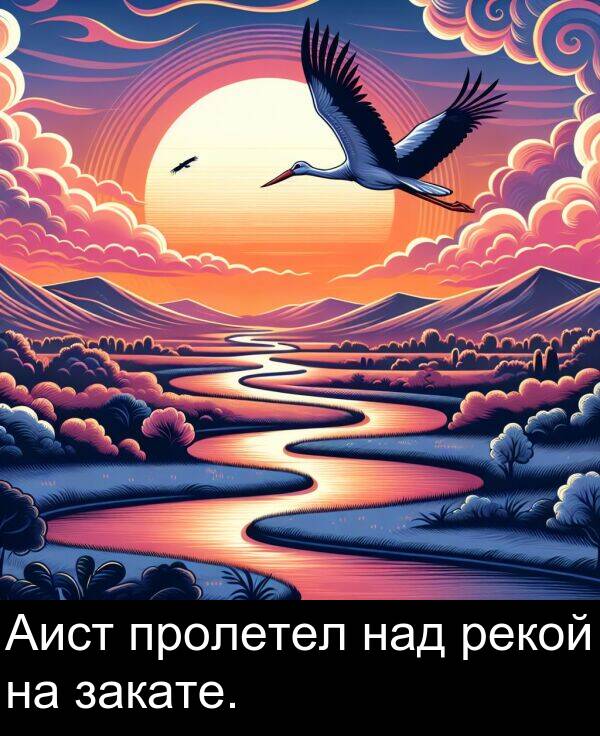 пролетел: Аист пролетел над рекой на закате.