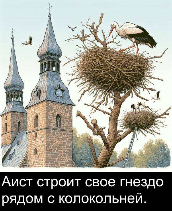 колокольней: Аист строит свое гнездо рядом с колокольней.