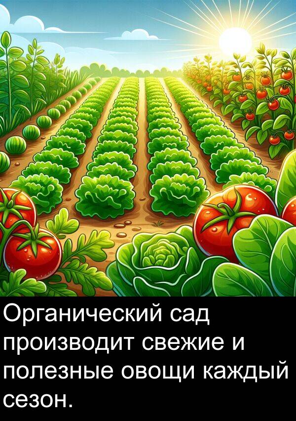 производит: Органический сад производит свежие и полезные овощи каждый сезон.