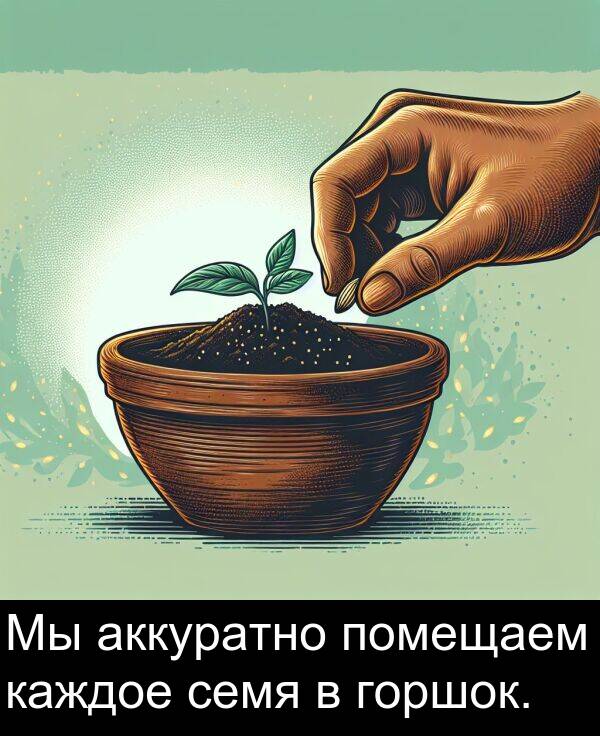 каждое: Мы аккуратно помещаем каждое семя в горшок.