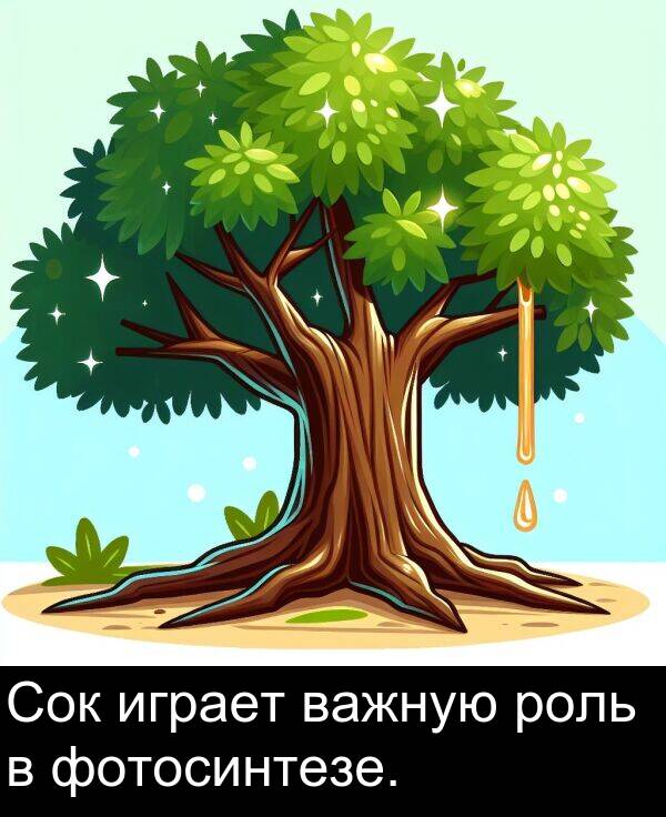важную: Сок играет важную роль в фотосинтезе.