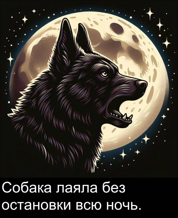 всю: Собака лаяла без остановки всю ночь.