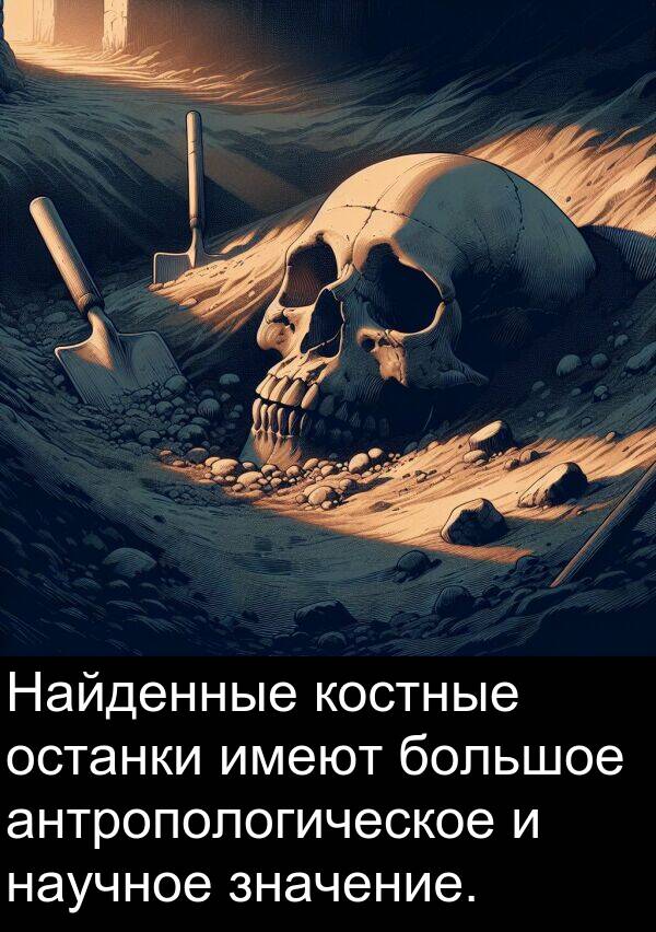 костные: Найденные костные останки имеют большое антропологическое и научное значение.