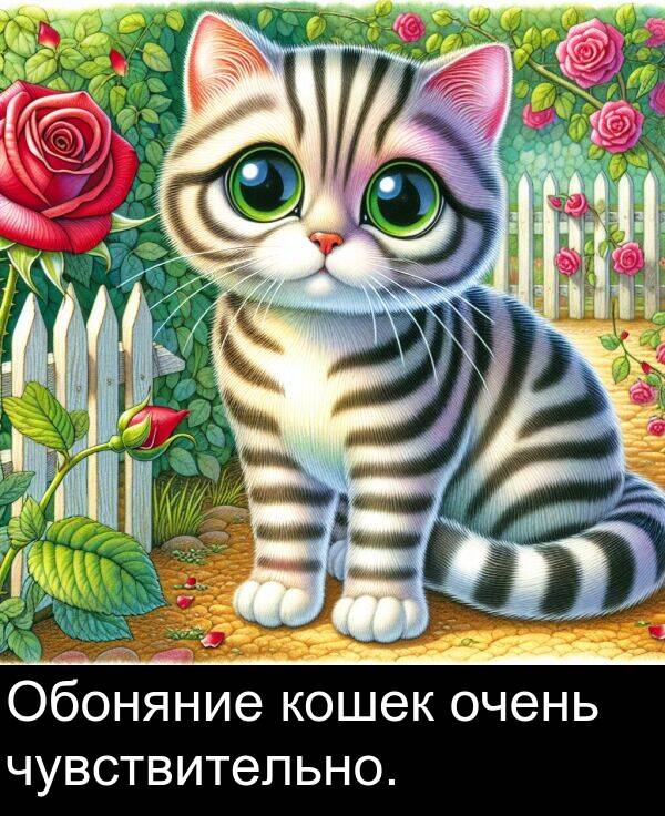 кошек: Обоняние кошек очень чувствительно.