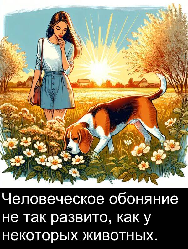 так: Человеческое обоняние не так развито, как у некоторых животных.