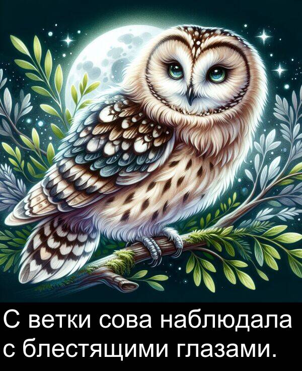 ветки: С ветки сова наблюдала с блестящими глазами.