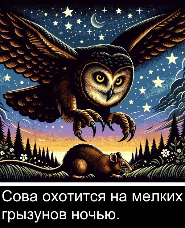 ночью: Сова охотится на мелких грызунов ночью.