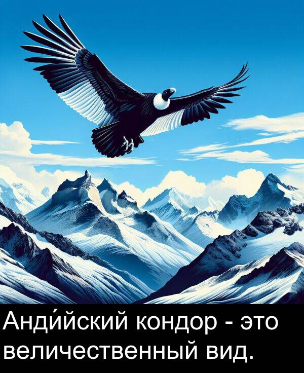 кондор: Анди́йский кондор - это величественный вид.