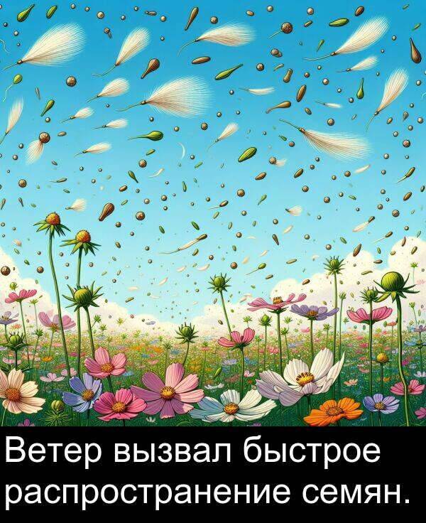 быстрое: Ветер вызвал быстрое распространение семян.