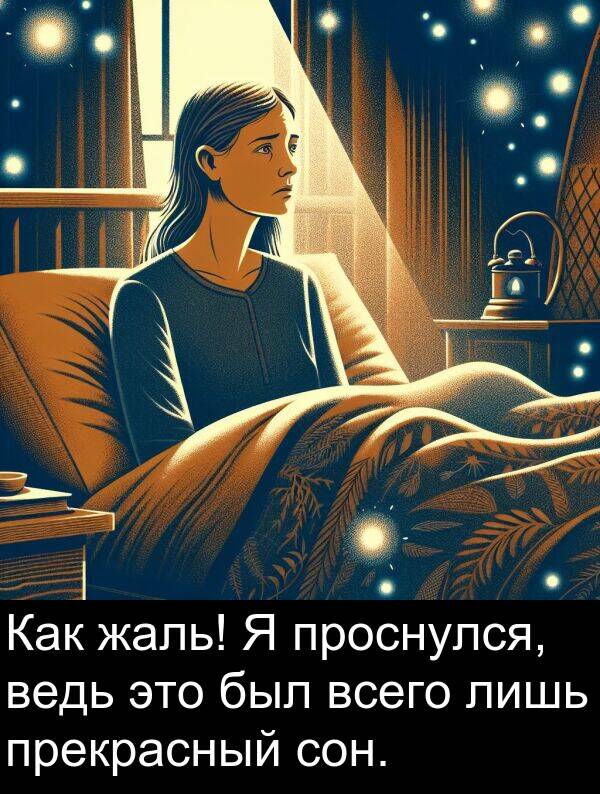 проснулся: Как жаль! Я проснулся, ведь это был всего лишь прекрасный сон.