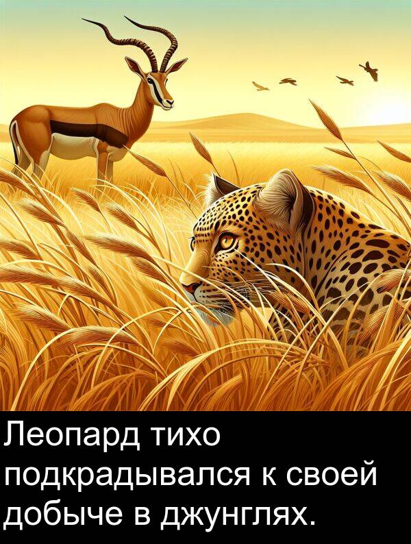 своей: Леопард тихо подкрадывался к своей добыче в джунглях.