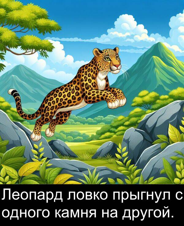 прыгнул: Леопард ловко прыгнул с одного камня на другой.