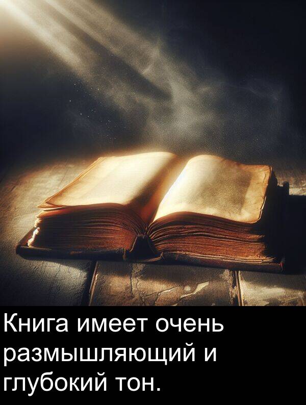 тон: Книга имеет очень размышляющий и глубокий тон.