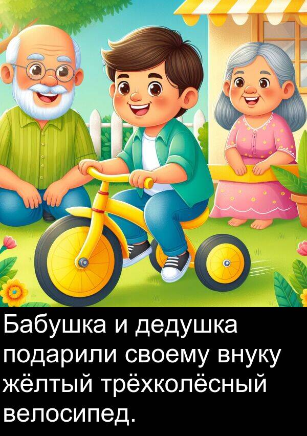 своему: Бабушка и дедушка подарили своему внуку жёлтый трёхколёсный велосипед.