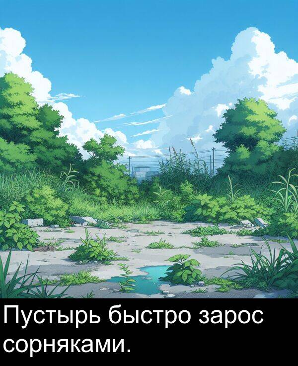 сорняками: Пустырь быстро зарос сорняками.