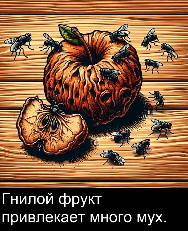 привлекает: Гнилой фрукт привлекает много мух.