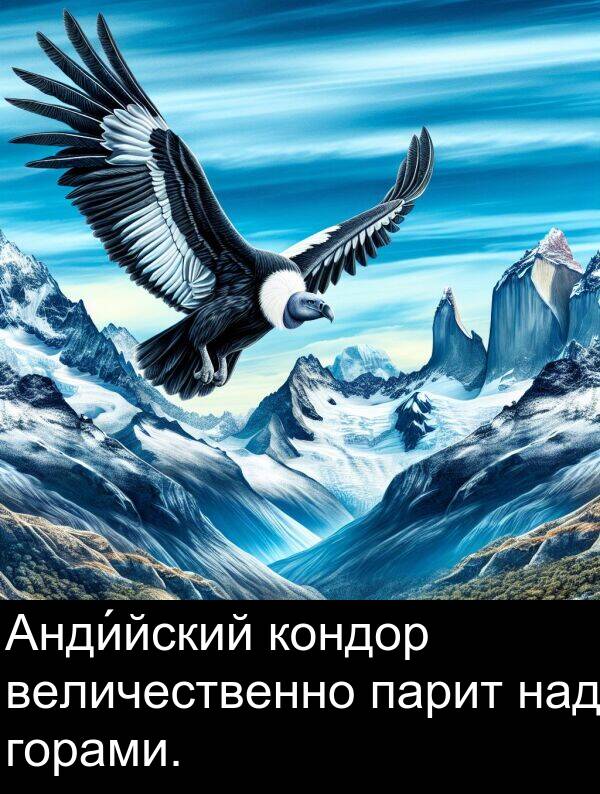 кондор: Анди́йский кондор величественно парит над горами.