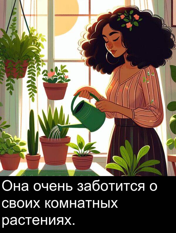 комнатных: Она очень заботится о своих комнатных растениях.