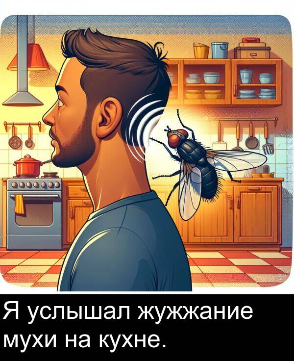 услышал: Я услышал жужжание мухи на кухне.