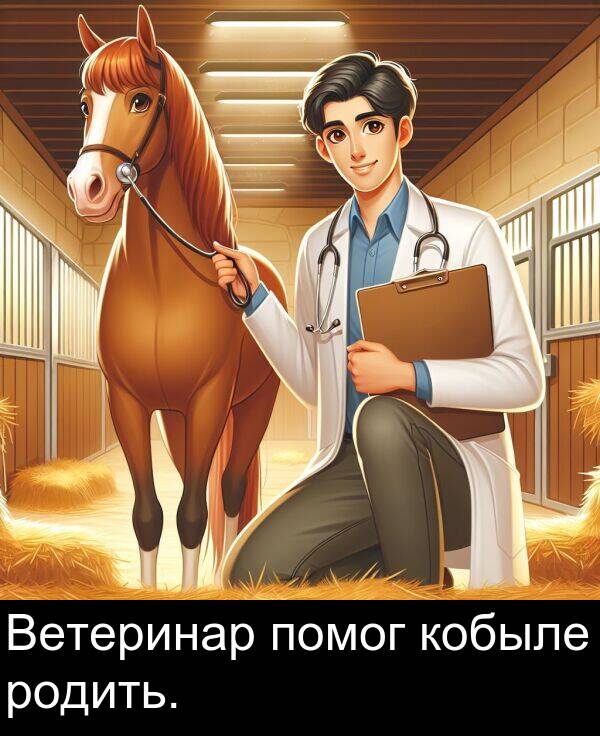 кобыле: Ветеринар помог кобыле родить.