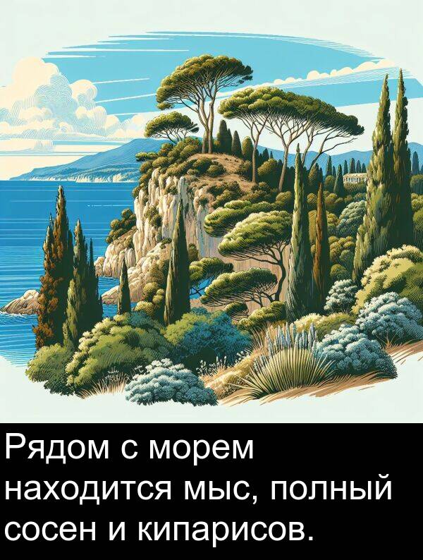 кипарисов: Рядом с морем находится мыс, полный сосен и кипарисов.