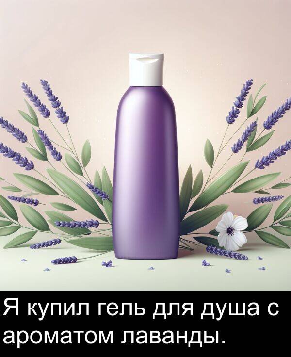 лаванды: Я купил гель для душа с ароматом лаванды.