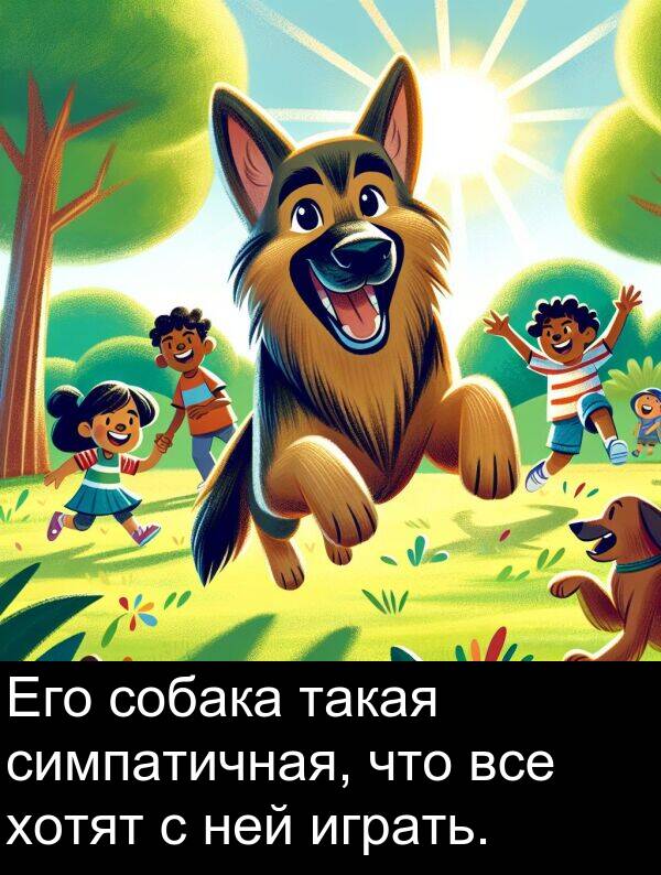 все: Его собака такая симпатичная, что все хотят с ней играть.