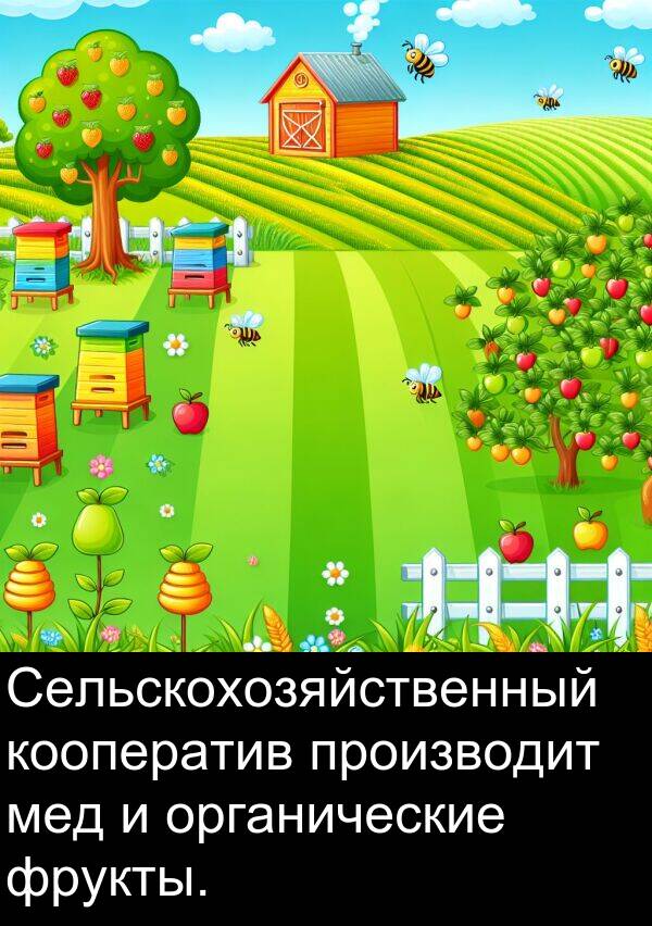 производит: Сельскохозяйственный кооператив производит мед и органические фрукты.