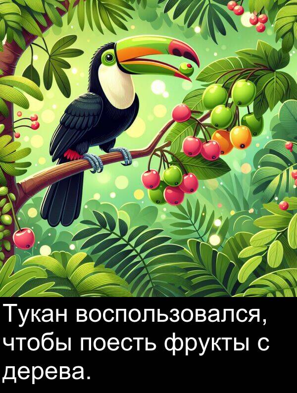 воспользовался: Тукан воспользовался, чтобы поесть фрукты с дерева.