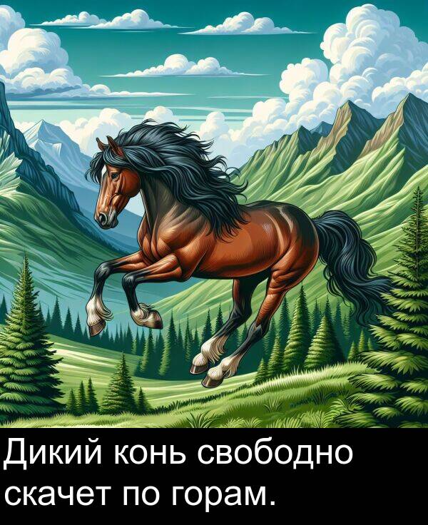 конь: Дикий конь свободно скачет по горам.