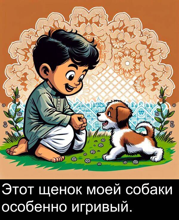 щенок: Этот щенок моей собаки особенно игривый.