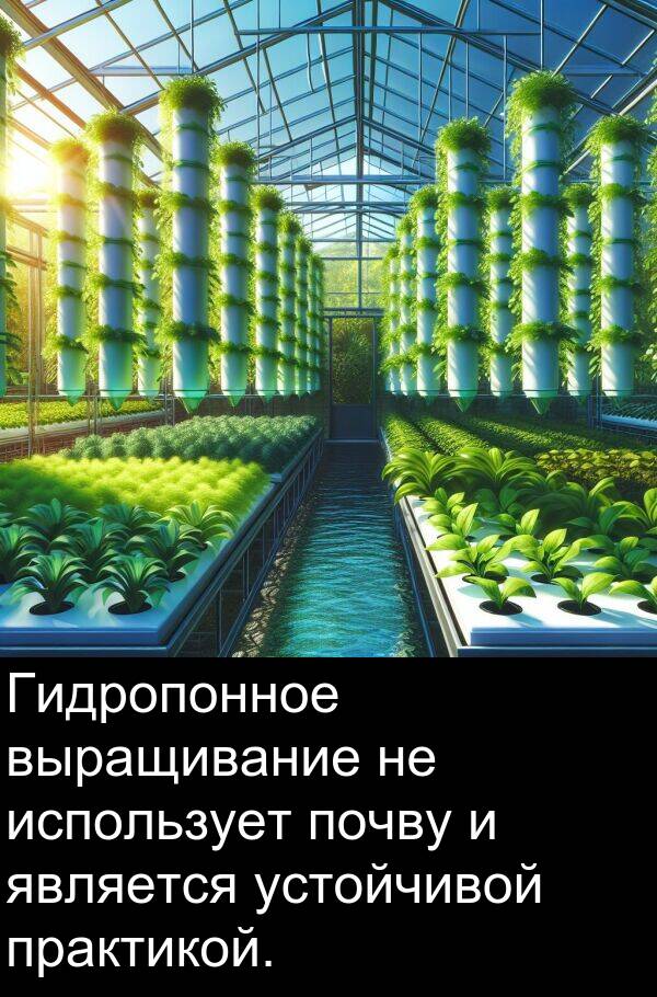 почву: Гидропонное выращивание не использует почву и является устойчивой практикой.