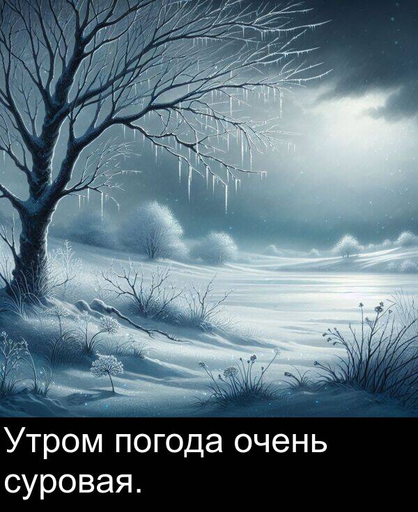суровая: Утром погода очень суровая.