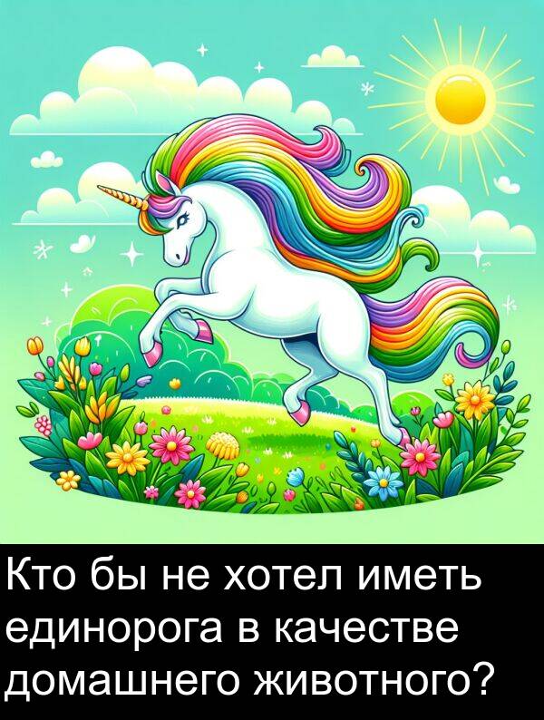 единорога: Кто бы не хотел иметь единорога в качестве домашнего животного?