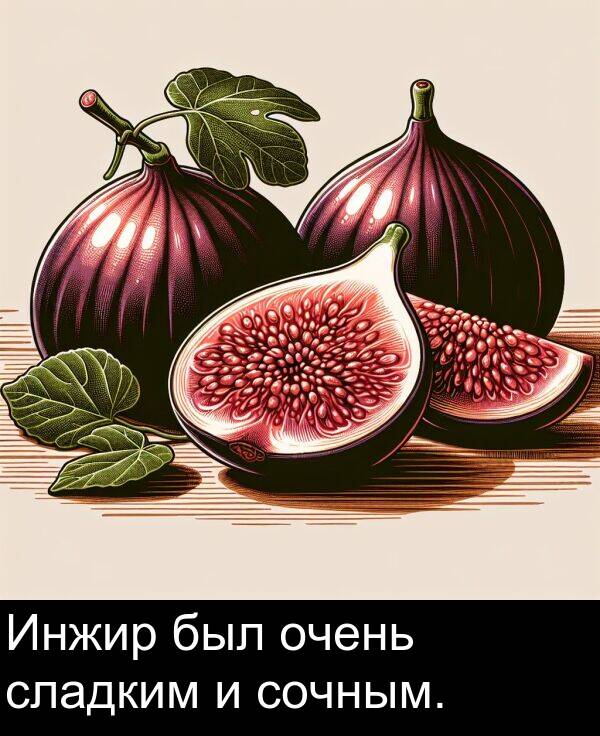 сочным: Инжир был очень сладким и сочным.