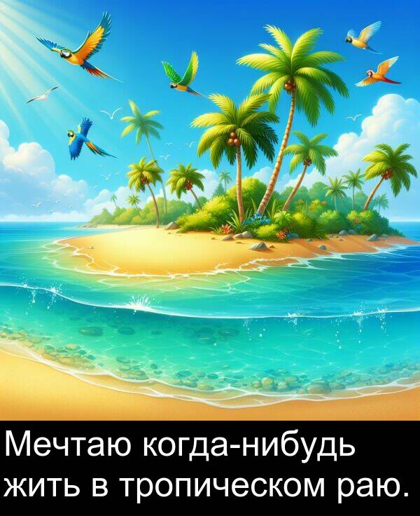 тропическом: Мечтаю когда-нибудь жить в тропическом раю.