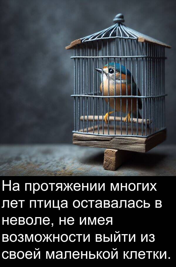 клетки: На протяжении многих лет птица оставалась в неволе, не имея возможности выйти из своей маленькой клетки.