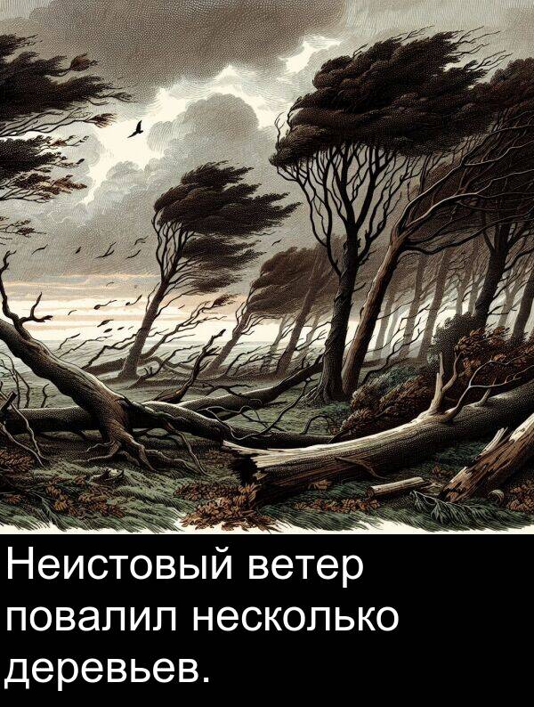 ветер: Неистовый ветер повалил несколько деревьев.