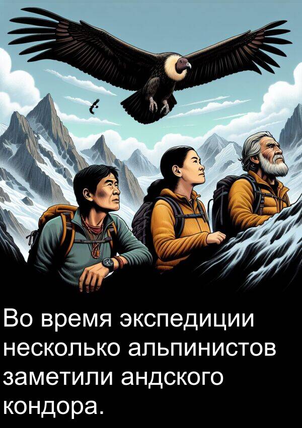 кондора: Во время экспедиции несколько альпинистов заметили андского кондора.
