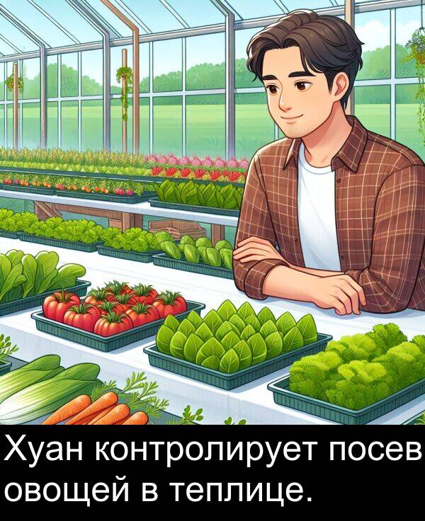 контролирует: Хуан контролирует посев овощей в теплице.