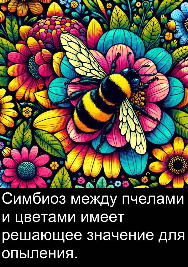пчелами: Симбиоз между пчелами и цветами имеет решающее значение для опыления.